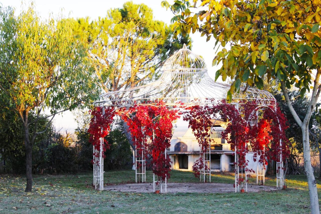 Appartamento Con Piscina E Giardino A Siena Exteriör bild